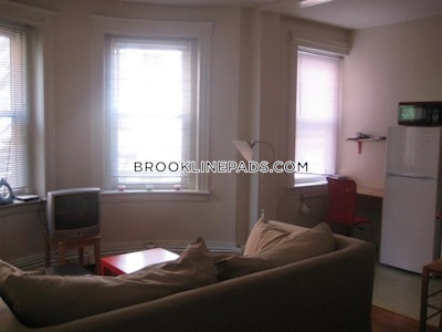 Brookline Apartment for rent 1 Bedroom 1 Bath  Washington Square - $2,150