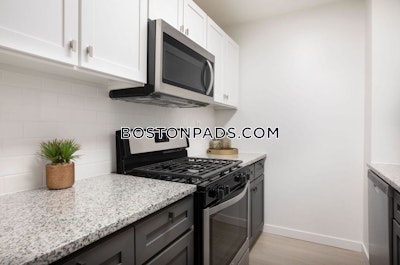 Mission Hill 2 Bedroom in Mission Hill Boston - $3,679