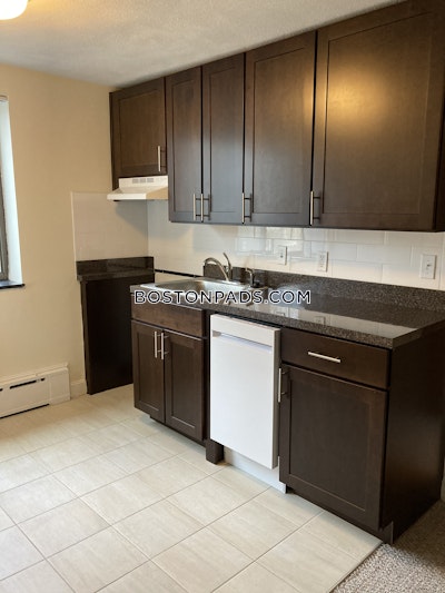 Cambridge Apartment for rent Studio 1 Bath  Davis Square - $2,050 No Fee