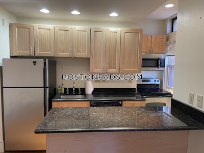 Fenway/kenmore Apartment for rent 1 Bedroom 1 Bath Boston - $3,400