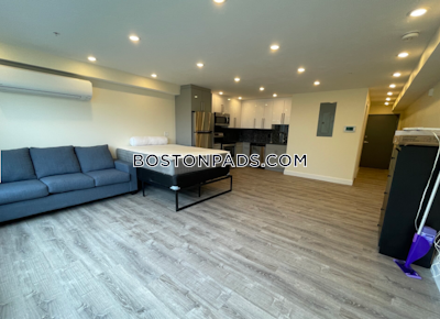 Allston Apartment for rent Studio 1 Bath Boston - $2,700