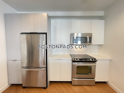 Downtown Apartment for rent 1 Bedroom 1 Bath Boston - $4,504