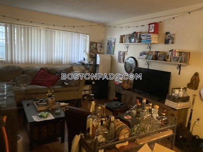 Allston Cute 2 Beds 1 Bath Boston - $2,600 No Fee