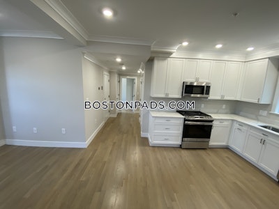Jamaica Plain Apartment for rent 2 Bedrooms 1 Bath Boston - $3,475 No Fee