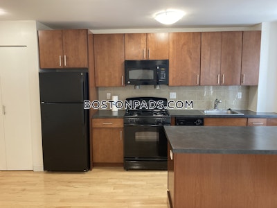 Brighton Apartment for rent 1 Bedroom 1 Bath Boston - $3,087 No Fee